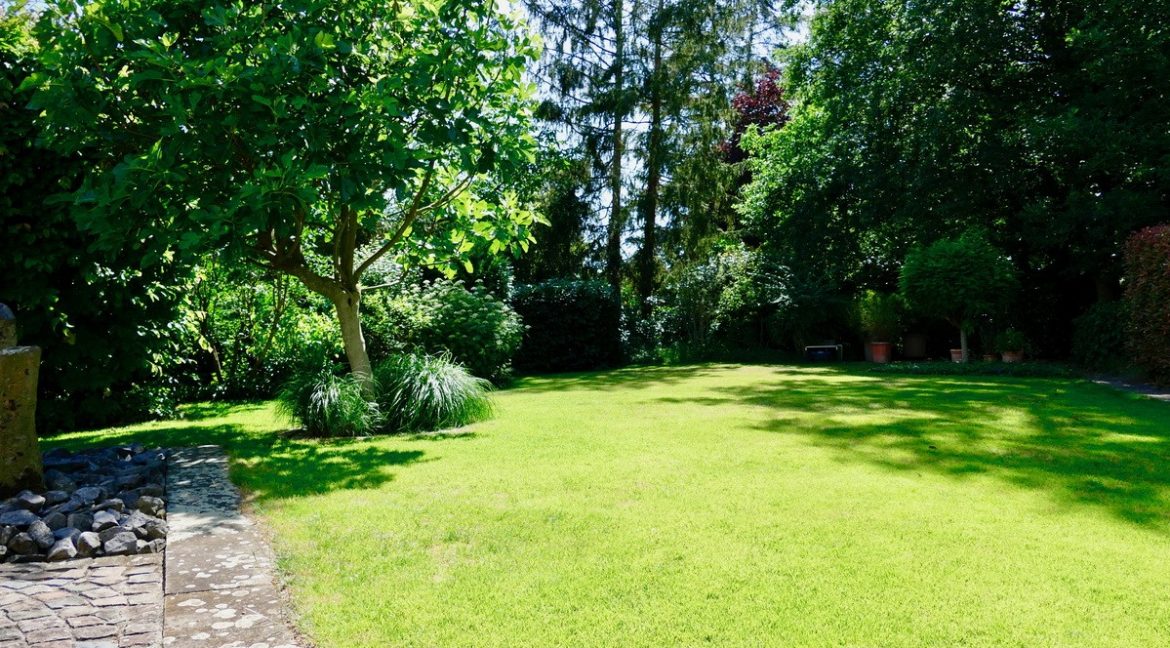 Vue sur le jardin