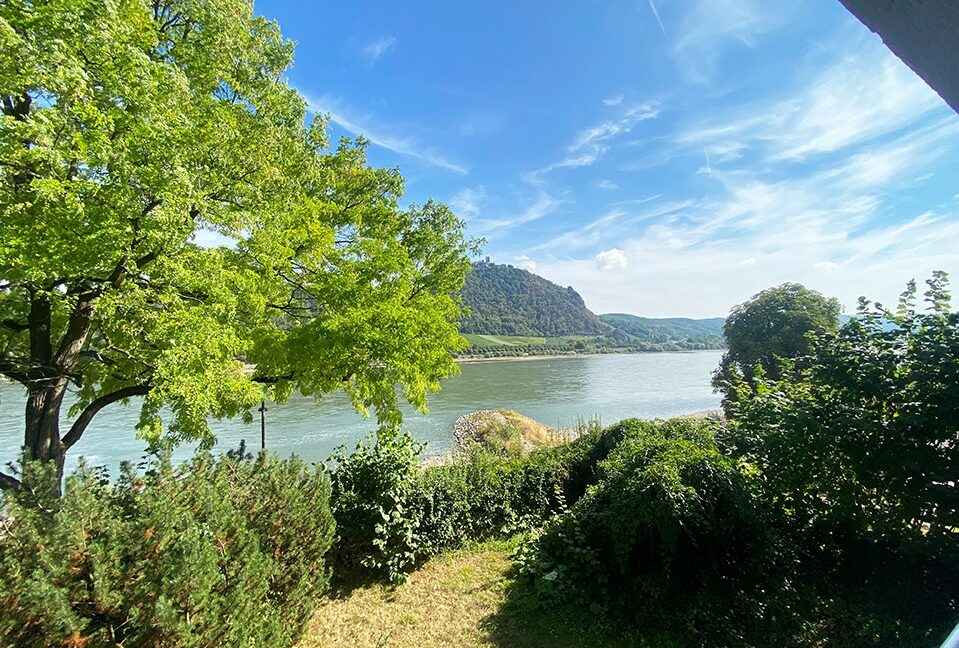 Rheinblick