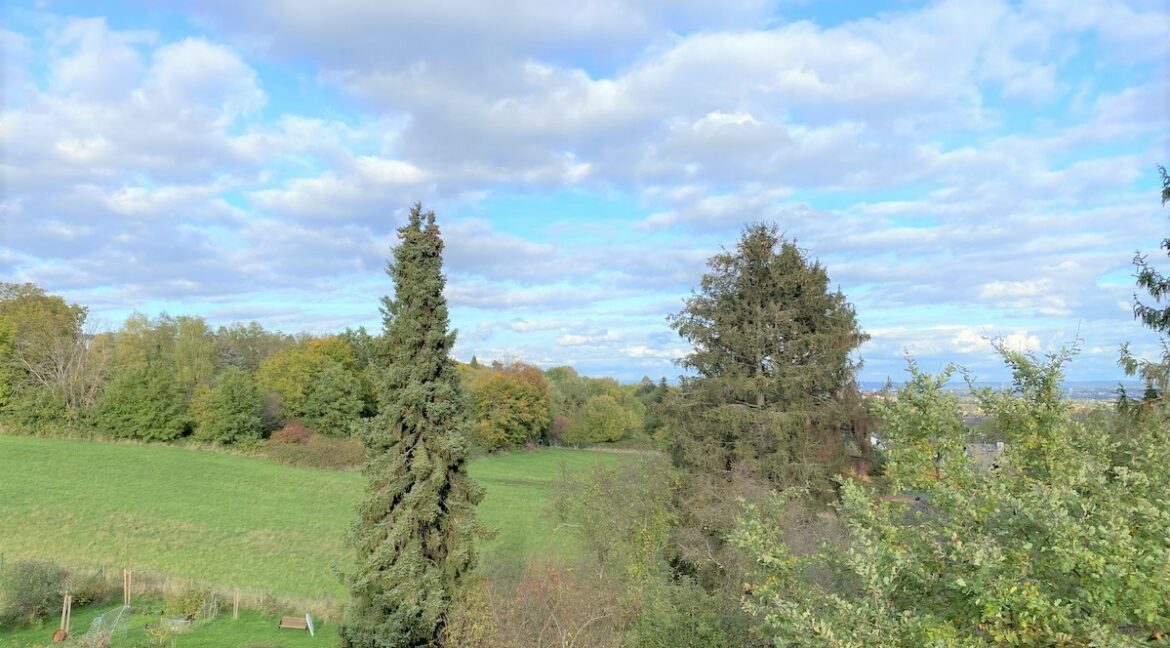 Ausblick vom Balkon