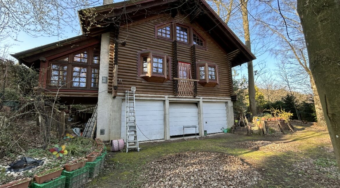 Rear view/garages