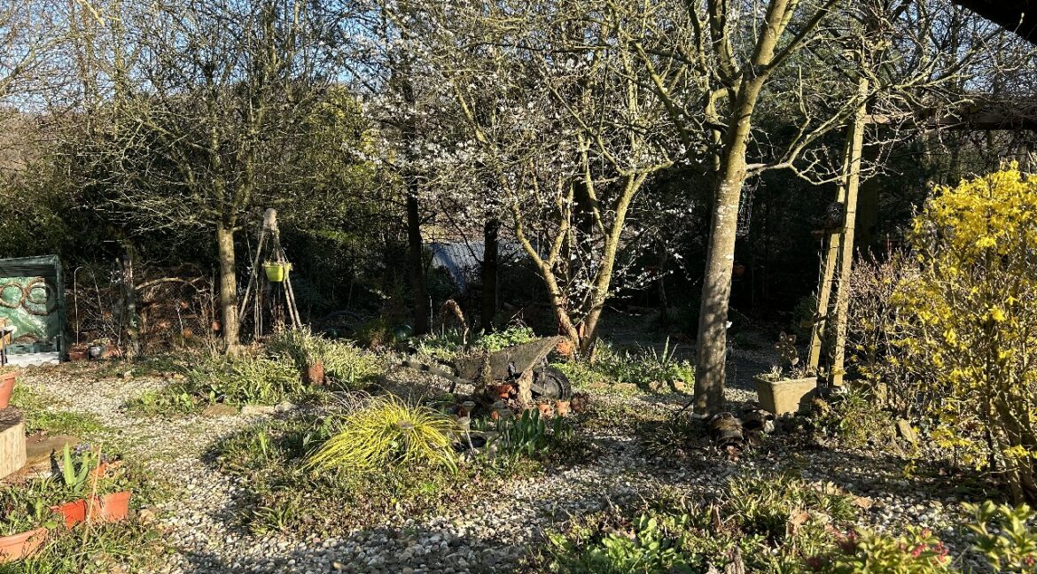 vue sur le jardin