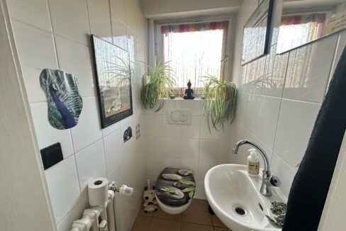 separates WC