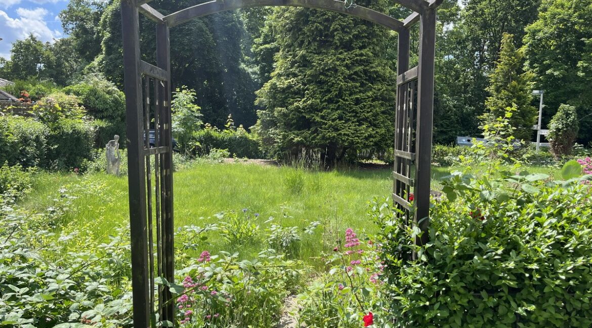 Blick in den Garten