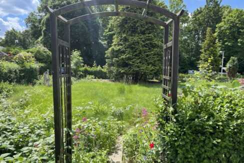 Blick in den Garten