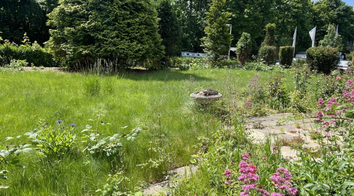 Blick in den Garten