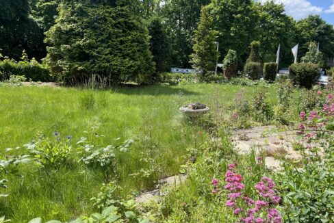 Blick in den Garten