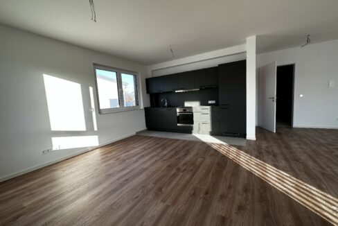Wohn-/ Esszimmer