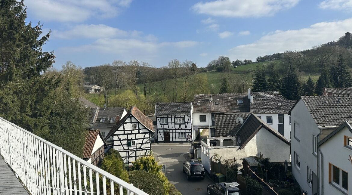 Fernblick