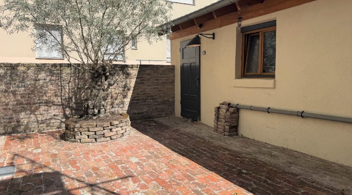 Altbau: Modernisierte 3-Zimmerwohnung mit Balkon und eigenem Garten in Bonn-Kessenich - Foto 3