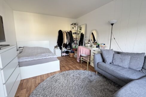 Wohn-/Schlafzimmer