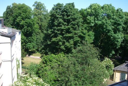 Ausblick