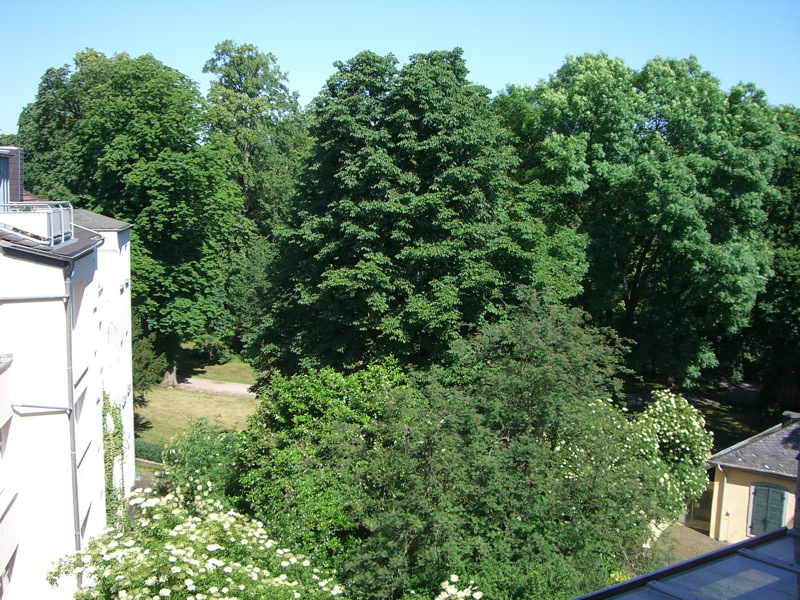 Ausblick