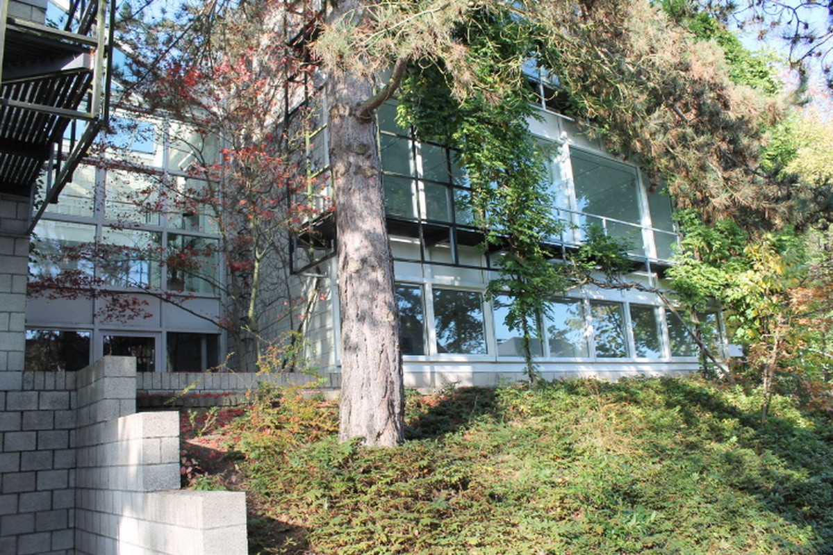 Wie hätten Sie’s denn gerne – 82, 84 , 104 oder 270 m²? Exklusive Büros in idyllischer Ruhiglage!