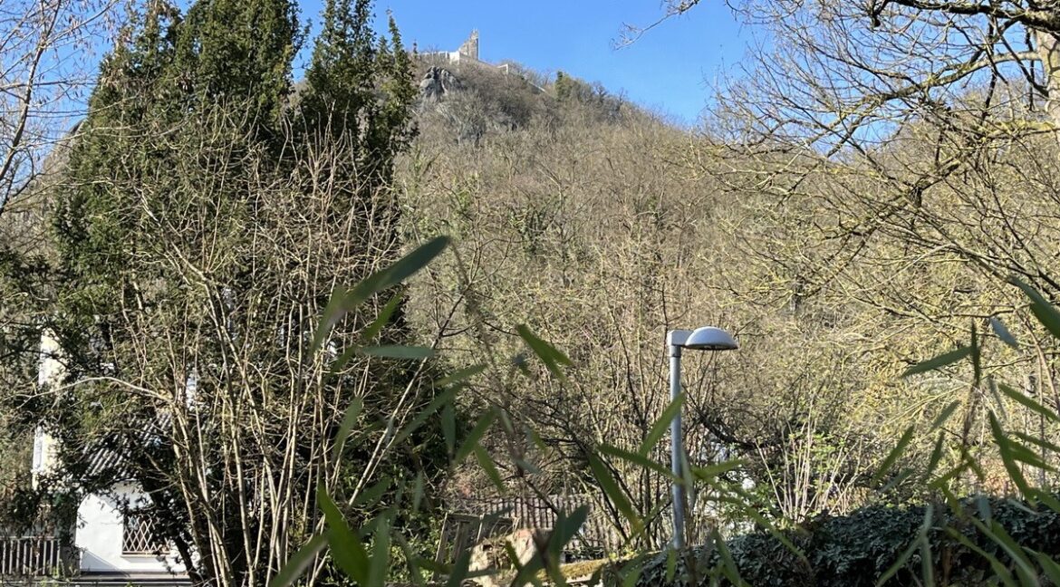 Blick
