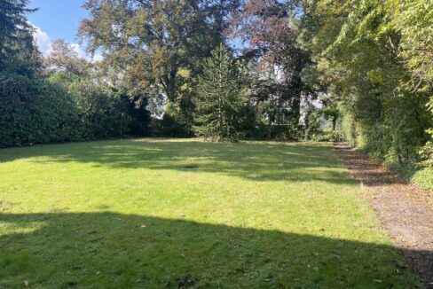 Blick in den Garten