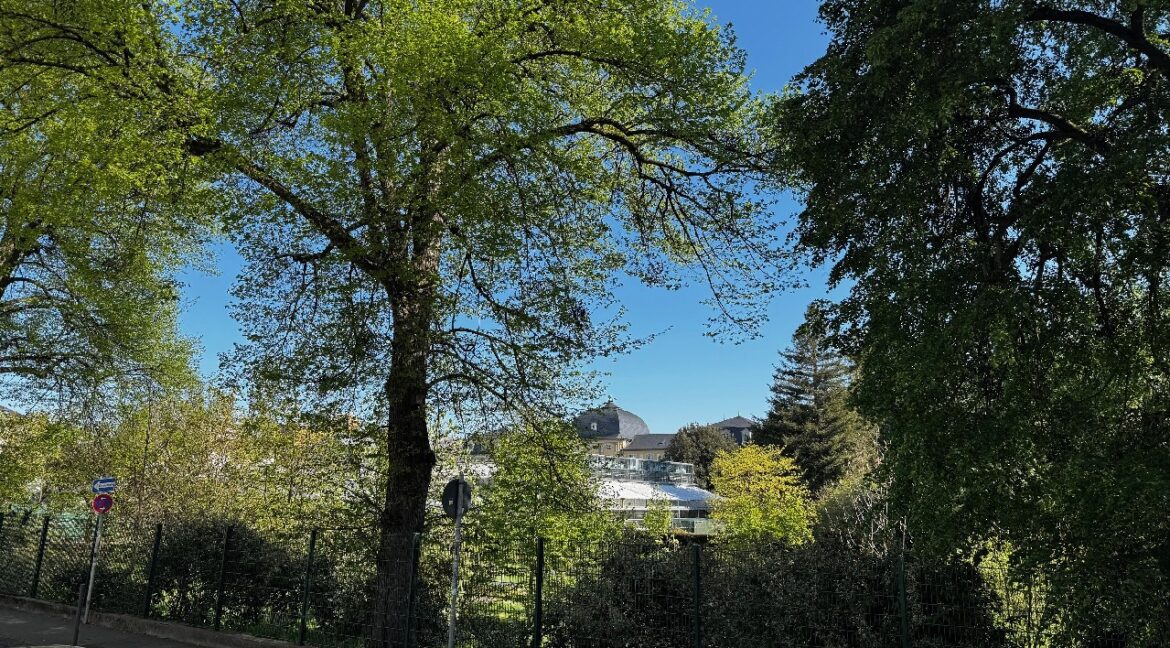 Botanischer Garten