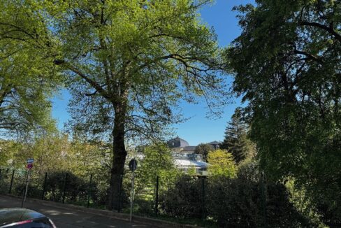 Botanischer Garten